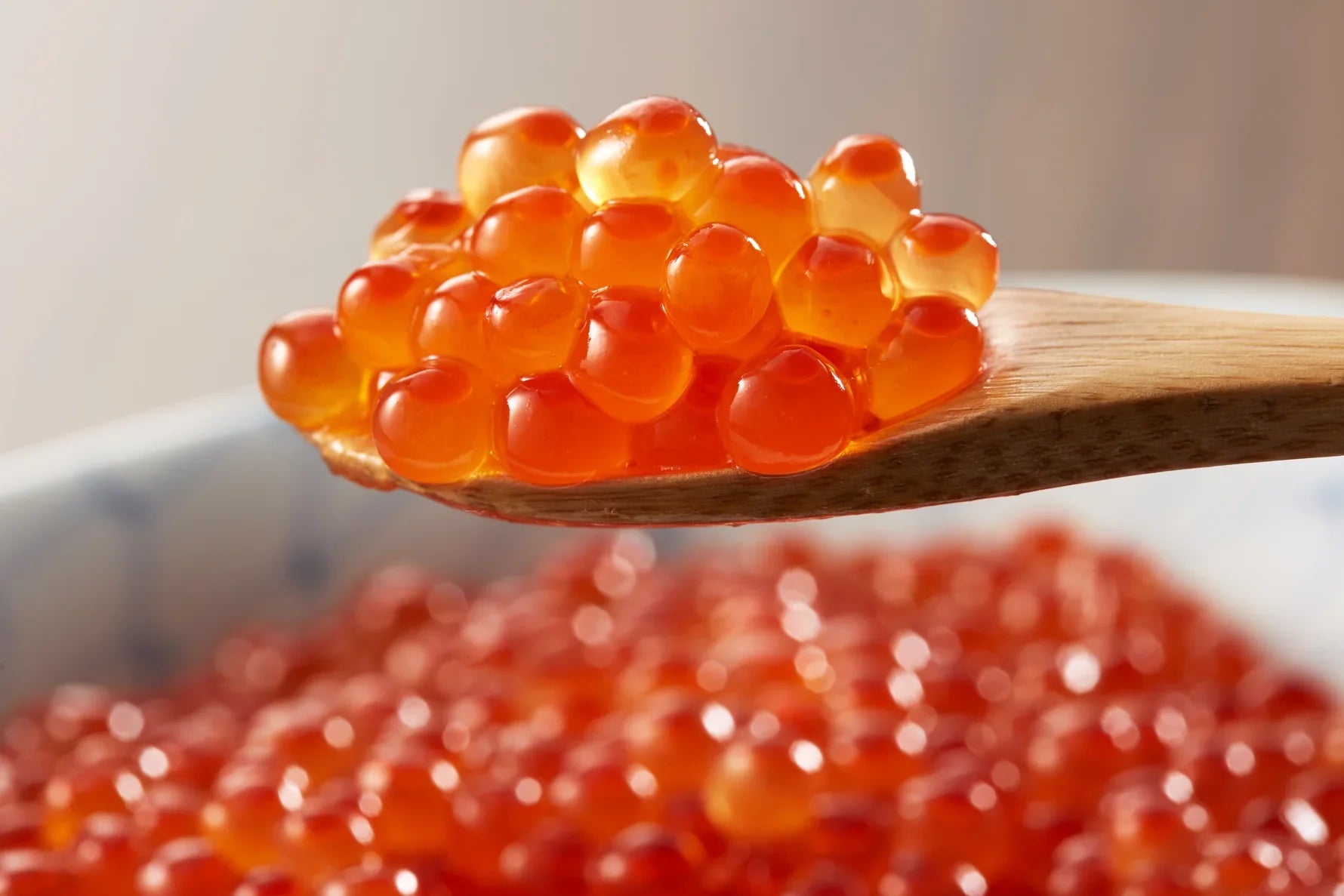 TIPOS DE HUEVAS DE SALMÓN: VARIEDADES Y CARACTERÍSTICAS