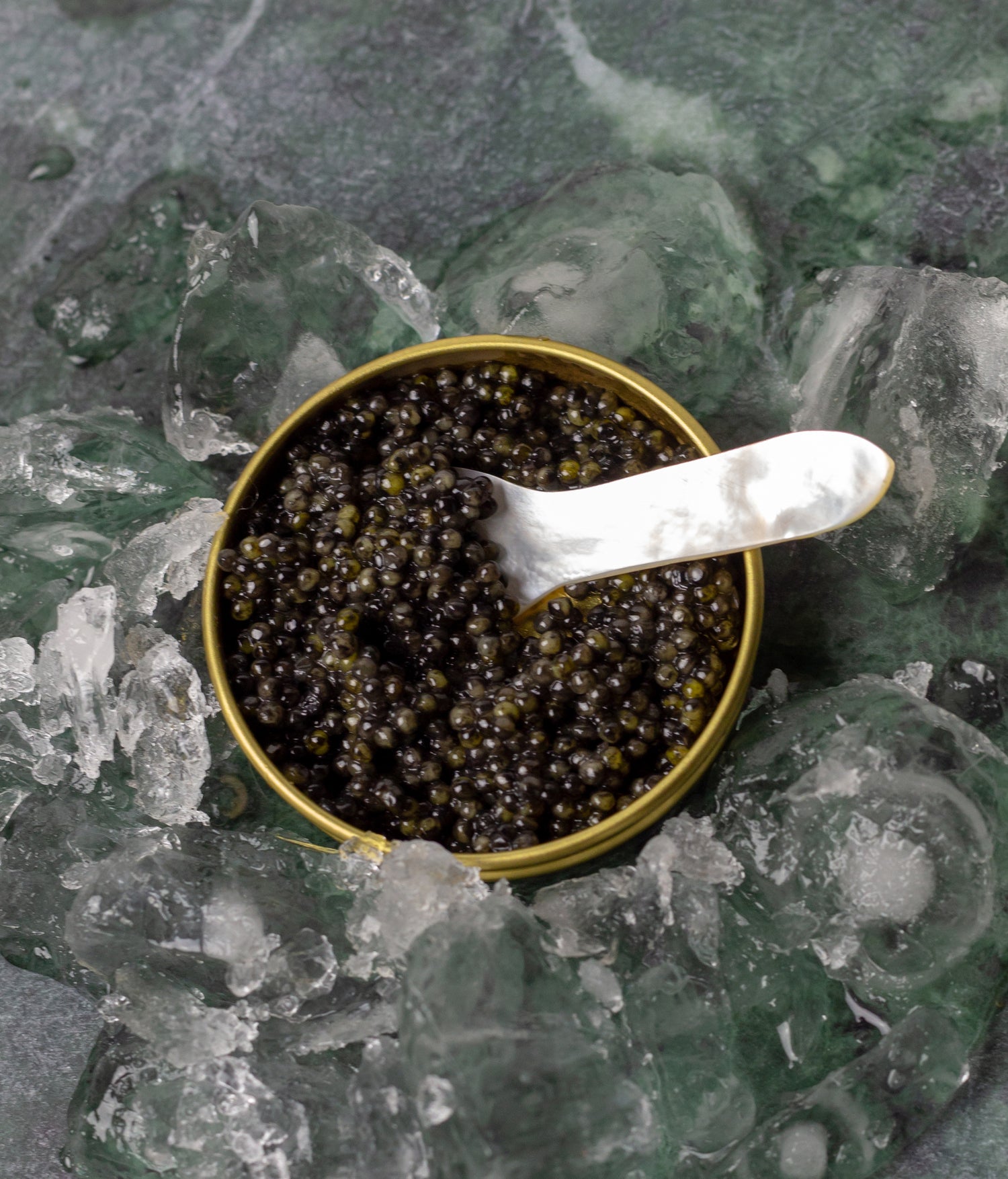 LA HISTORIA DEL CAVIAR
