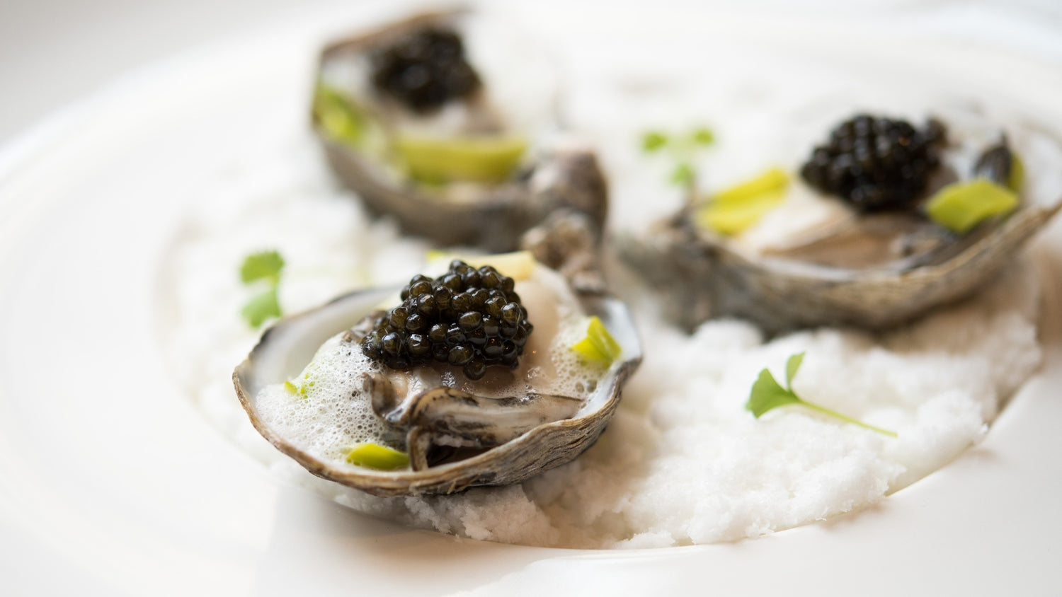 OSTRAS EN ESPUMA MARINA CON CAVIAR SPHERIKA